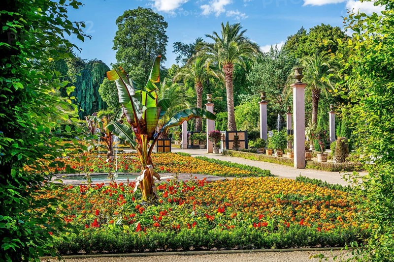 Palm garden in the spa gardens, the largest outdoor palm garden north of the Alps, spa town of Bad Pyrmont, Lower Saxony state spa, Emmer, Emmertal, Weserbergland, Lower Saxony, Germany, Europe