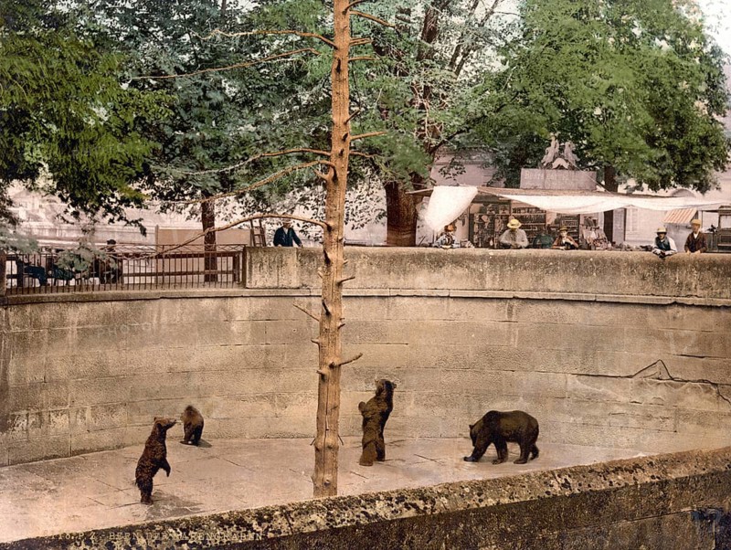 Bärengrube, Bern, Switzerland, Historic, digitally restored reproduction from a 19th century original, Record date not stated, Bear pit, Berne, Switzerland, Historic, digitally restored reproduction from a 19th century original, Record date not stated, Europe