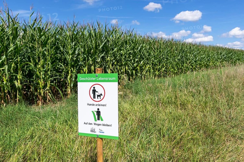 Sign for dog owners that they should stay on the paths and that dogs must be kept on a lead.NABU, animal welfare, fields, maize field, protected habitat, meadow, Baden-Württemberg, Germany, Europe