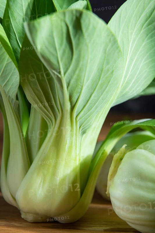 Fresh green bok choy or pac choi chinese cabbage. Side view, close up, macro