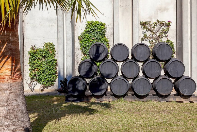 Stacked sherry casks on pallets in front of a concrete wall with green plants and a palm tree in the sunlight, Jerez de la Frontera, Andalusia, Spain, Europe
