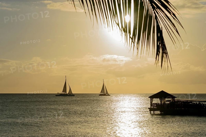 A peaceful sunset with silhouettes of sailboats and a palm leaf, jetty, Dominicus beach, Bayahibe, Dominican Republic, Hispaniola, Caribbean, America, Central America