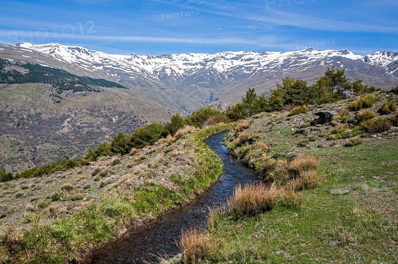 Water channel for irrigation known as an acequia, Sierra Nevada Mountains in the High Alpujarras, near Capileira, Granada Province, Spain, Europe