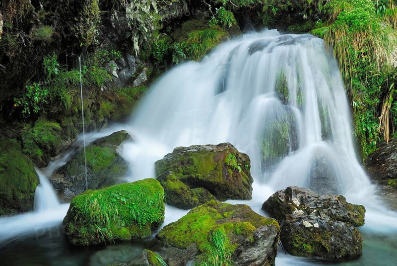 Small waterfall, Cleopatra's Pool, Abel Tasman National Park, Nelson Region, South Island New Zealand, Abel Tasman National Park, New Zealand, Oceania