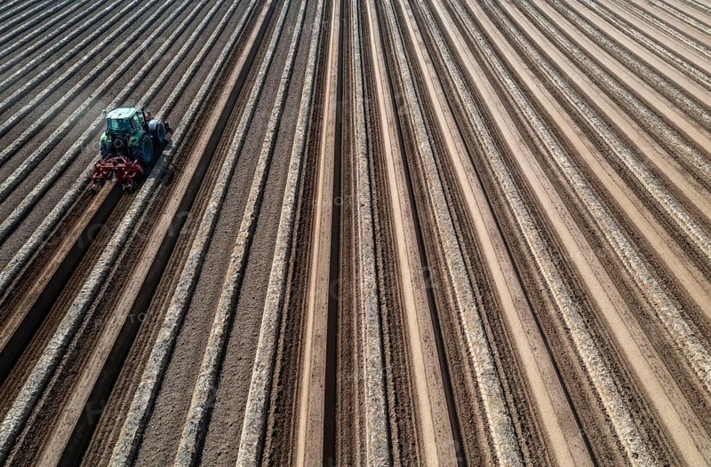 A farmer builds asparagus ridges on a field with the help of an asparagus tiller, in which the asparagus then grows, Dormagen, North Rhine-Westphalia, Germany, Europe
