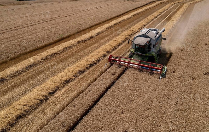 Agriculture, grain harvest, wheat, combine harvester harvesting in a wheat field, near Niederkrüchten, North Rhine-Westphalia, Germany, Europe
