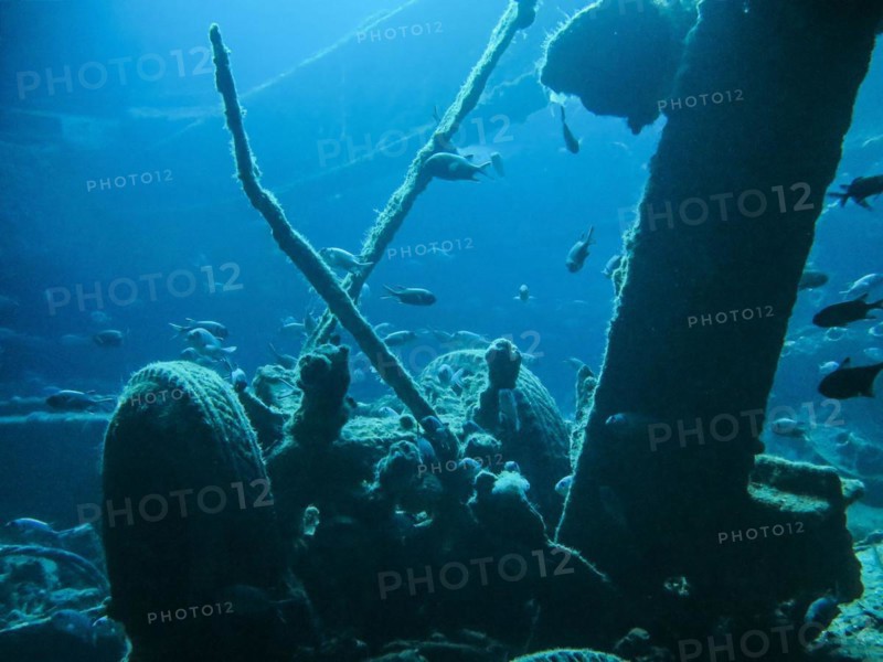 Lower deck, cargo holds, dive site wreck of the Thistlegorm, Red Sea, Egypt, Africa