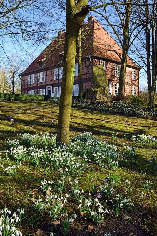 Europe, Germany, Lower Saxony, Harburg district, Moisburg, Hamburg metropolitan region, Amtshaus an der Este, spring, meadow with snowdrops, Hamburg, Hamburg, Federal Republic of Germany, Europe