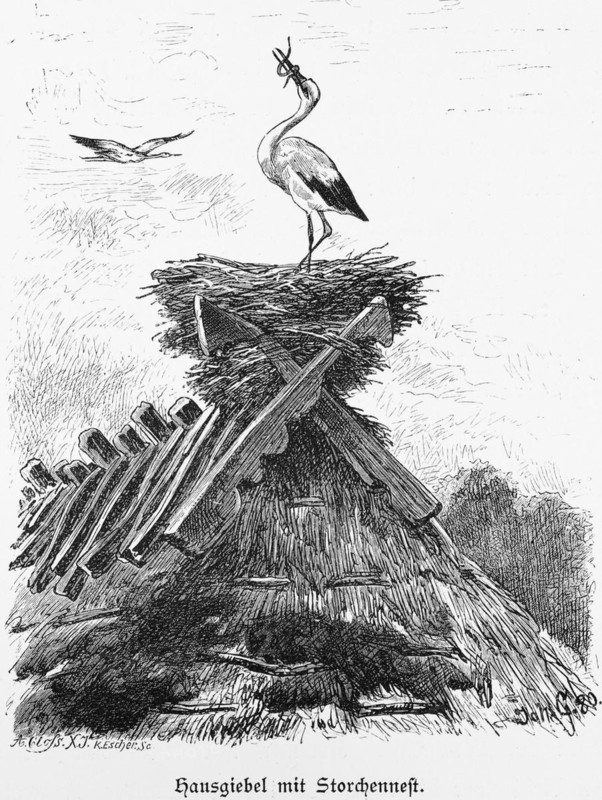 Stork's nest on thatched roof, Mecklenburg-Western Pomerania, Germany, farmhouse, gable, ridge, moss, historical illustration 1880, Europe