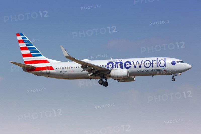 An American Airlines Boeing 737-800 aircraft with the registration number N838NN and the OneWorld special livery at Dallas Fort Worth Airport, USA, North America