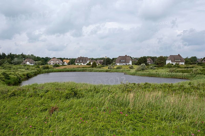 Frisian houses with thatched roof by the pond, Greveling, Wyk, Föhr, North Sea island, North Frisia, Schleswig-Holstein, Germany, Europe