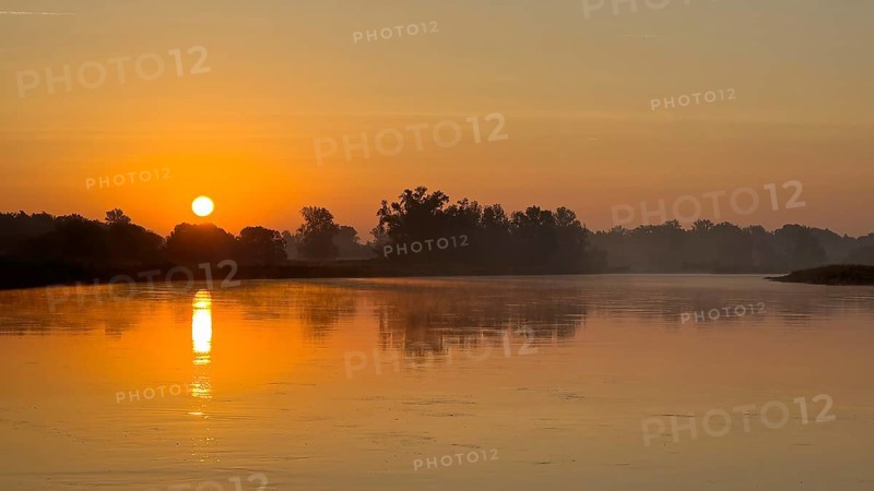 Foggy mood, sunrise on the Elbe, biotope, habitat, Elbe meadows, floodplain landscape, river course, delta, river landscape Elbe, flowing water, sunrise, autumn mood Middle Elbe Biosphere Reserve, Saxony-Anhalt, Germany, Europe