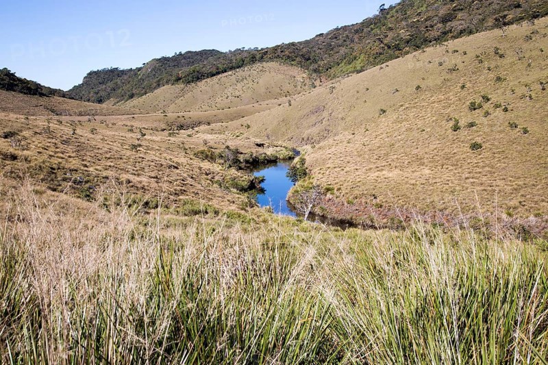 Meandering small Belihul Oya river in V shaped valley Horton Plains national park, Sri Lanka, Asia