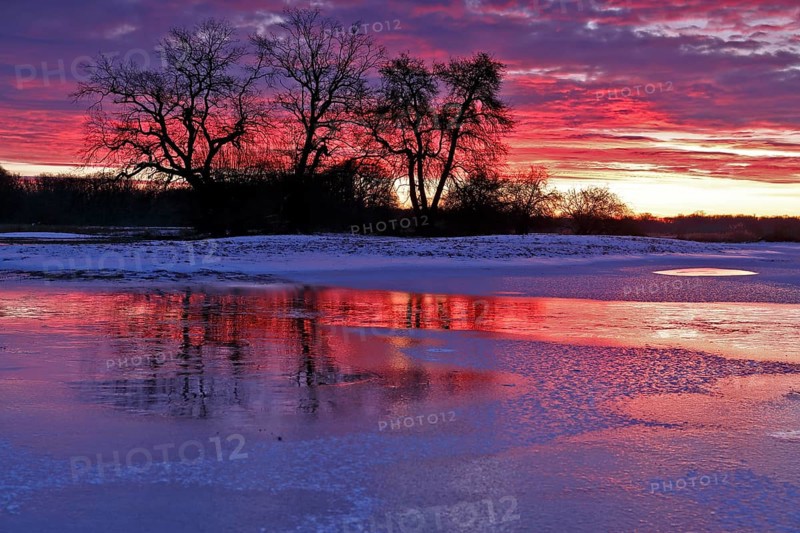 Winter floods 2024 on the Elbe and Mulde rivers with flooding of the meadows, ice on the meadows due to flooding in winter, morning mood in the Elbe floodplain, Middle Elbe Biosphere Reserve, Dessau-Roßlau, Saxony-Anhalt, Germany, Europe