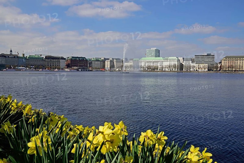 Germany, Hamburg, City, View over the Inner Alster Lake to the Neuer Jungfernstieg, daffodils, fountain, Europe