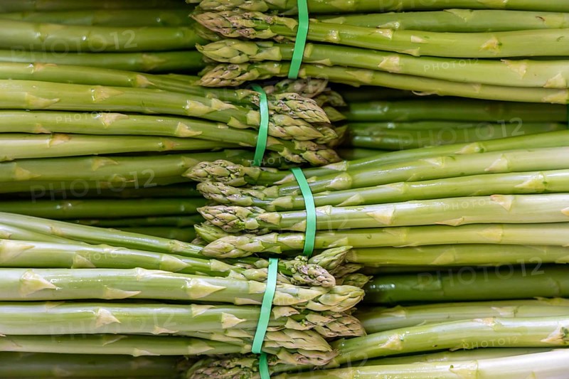 Asparagus farm, green asparagus is washed, cut and sorted by quality after harvesting, near Dormagen, Rhineland, North Rhine-Westphalia, Germany, Europe
