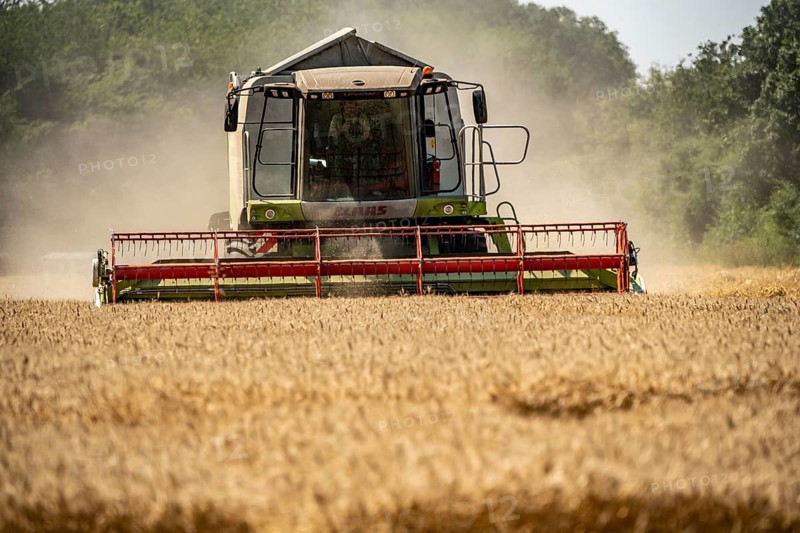 Agriculture, grain harvest, wheat, combine harvester harvesting in a wheat field, near Niederkrüchten, North Rhine-Westphalia, Germany, Europe