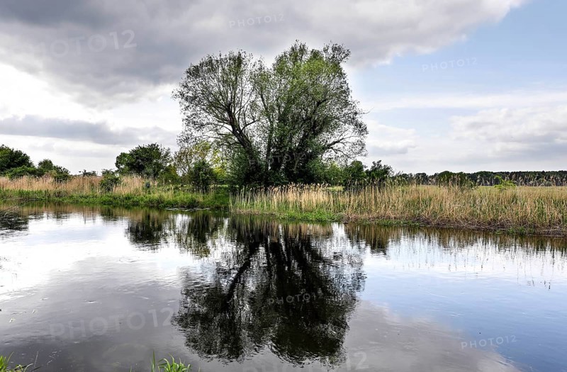 Unregulated natural course of the River Spree, 16 05 2023, Mönchwinkel