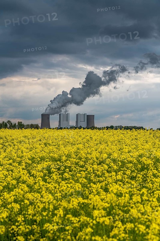 Neurath lignite-fired power station, near Grevenbroich, RWE Power AG, storm clouds over the Rhenish lignite mining area, rape field, North Rhine-Westphalia, Germany, Europe