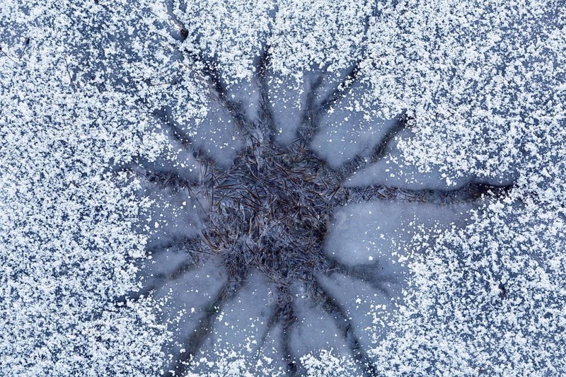 Winter flood 2024 on the rivers Elbe and Mulde with flooding of the meadows, close-up of ice structures on the meadows due to flooding in winter, bizarre ice formations, clock in the ice, Middle Elbe Biosphere Reserve, Dessau-Roßlau, Saxony-Anhalt, Germany, Europe