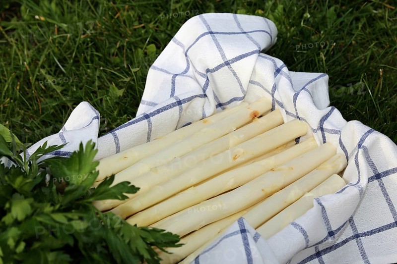 White asparagus decorated in a wooden crate