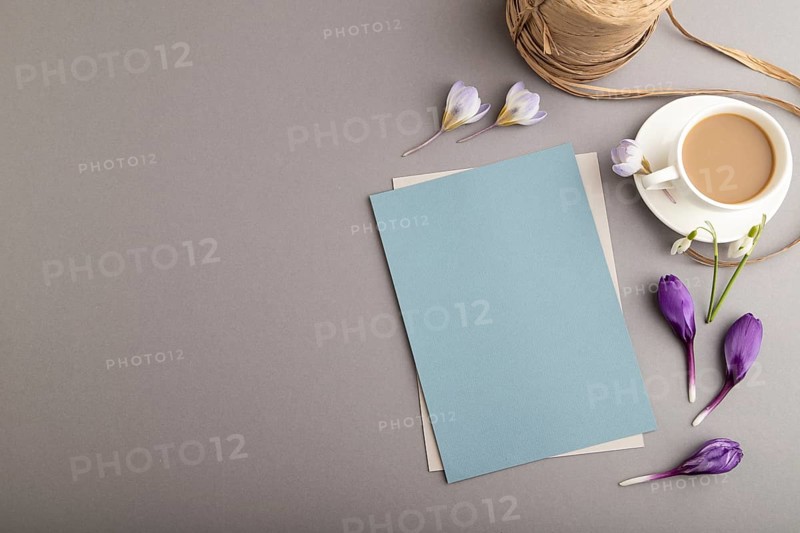 Blue paper sheet mockup with spring snowdrop crocus and galanthus flowers and cup of coffee on gray background. Blank, business card, top view, flat lay, copy space, still life. spring concept