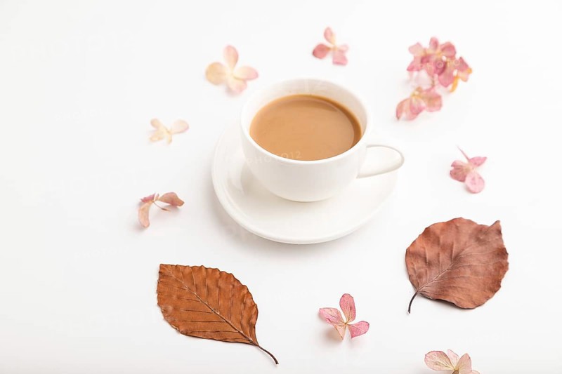 Composition with brown beech autumn leaves, hydrangea flowers and cup of coffee. mockup on white background. Blank, side view, still life, close up
