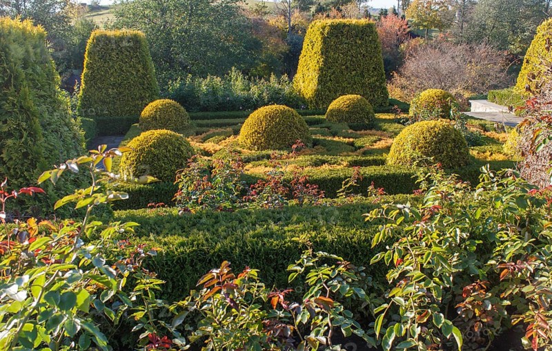 Cottage garden with topiary, hedges, trimmed bushes. Modern landscape design
