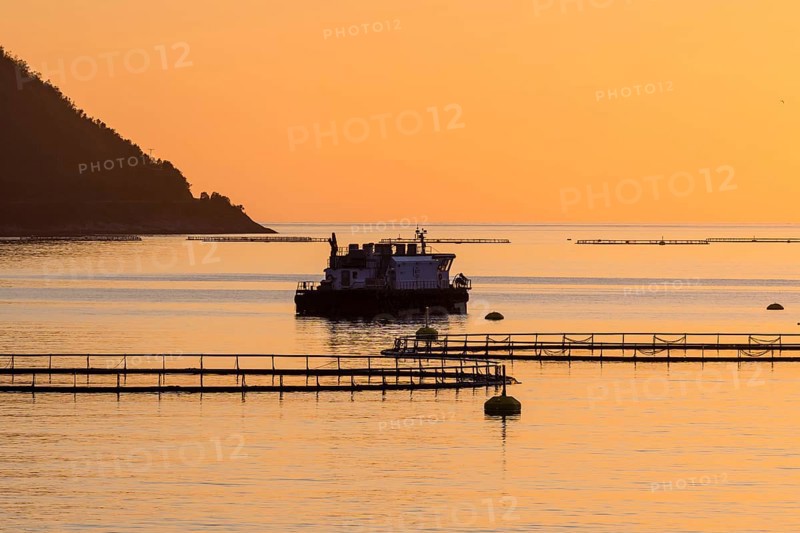 Salmon farm in fjord Mefjord, sunset over sea and mountain range, salmon, Senja, Troms, Norway, Europe