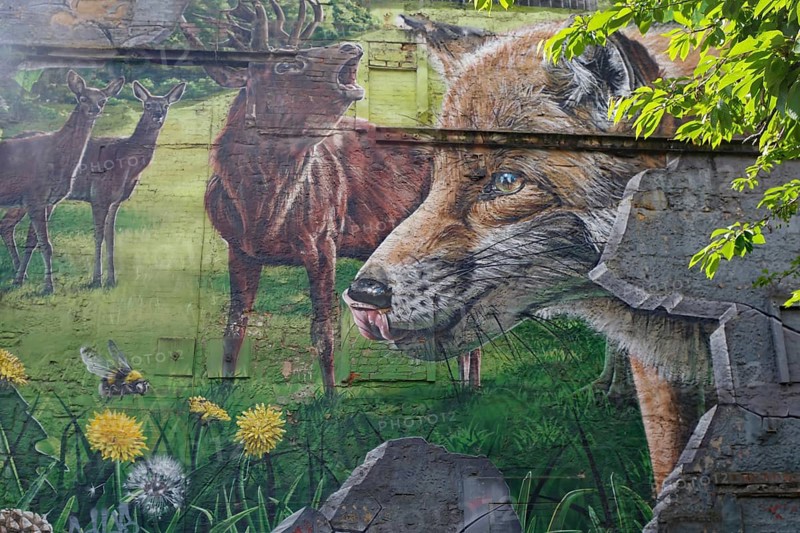 Vibrant mural depicting a fox, deer and a green meadow with flowers and trees, Mural Trail, Glasgow, Scotland, United Kingdom, Europe
