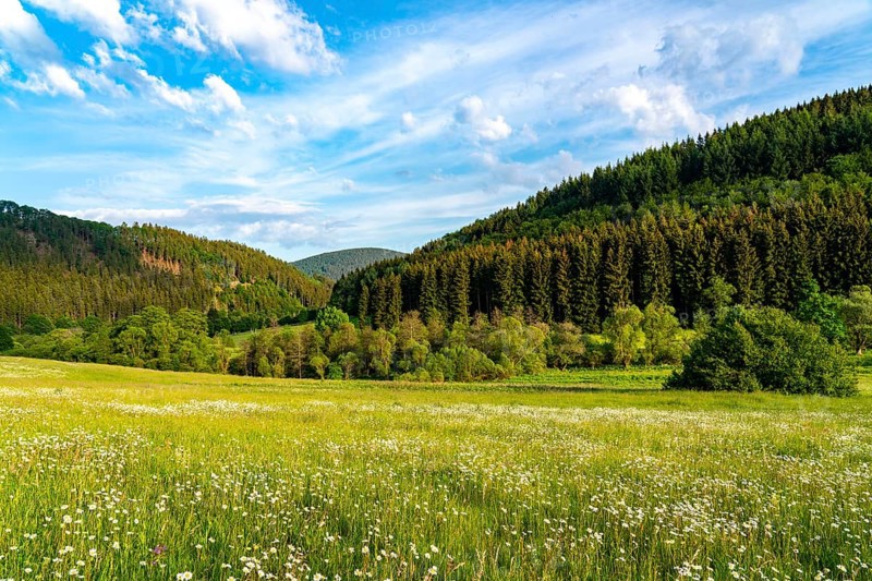 In the nature reserve Unteres Helletal, near Elkeringhausen, district of Winterberg, Hochsauerlandkreis, landscape in Sauerland, North Rhine-Westphalia, Germany, Europe