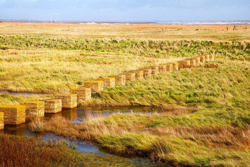 Concrete blocks set as tank traps in the 1940s during the second world war on the coast at Shingle Street, Suffolk, England, UK