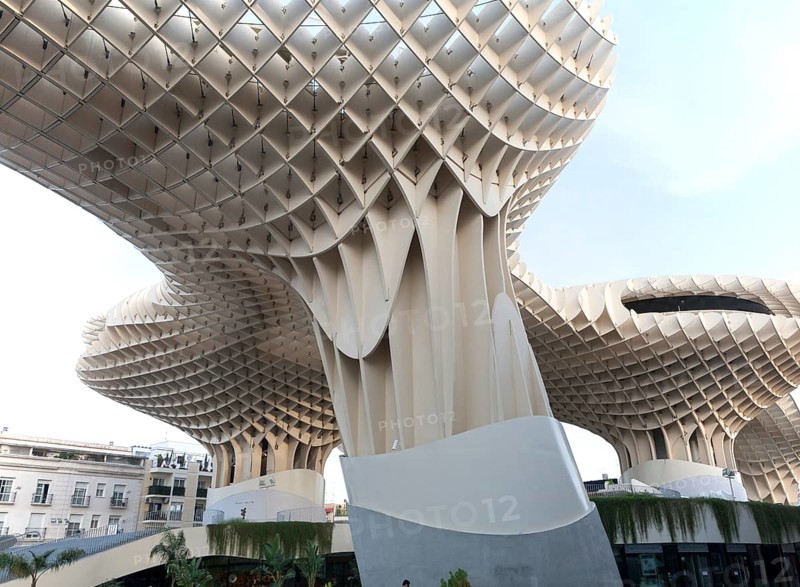 Metropol Parasol wooden structure in La Encarnación square, Seville, Spain designed by architect Jürgen Mayer-Hermann 2011