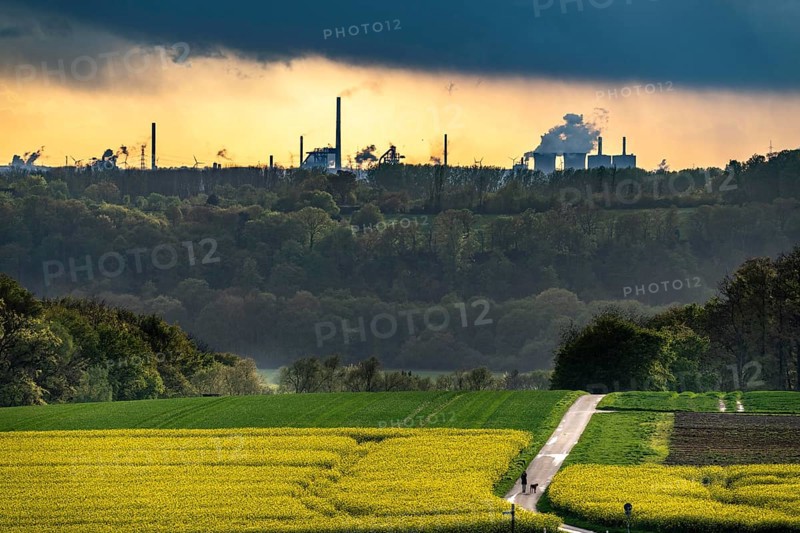 View over Mülheim an der Ruhr, Ickten, rape fields, over the Ruhr heights, to Duisburg-Hüttenheim, steelworks, blast furnaces, coking plant, of the Krupp-Mannesmann steelworks, HKM, North Rhine-Westphalia, Germany, Europe