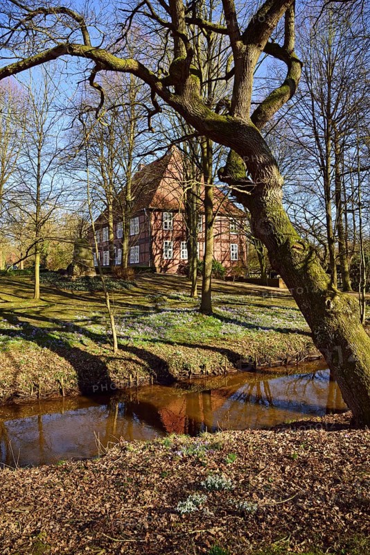 Europe, Germany, Lower Saxony, Harburg district, Moisburg, Hamburg metropolitan region, Amtshaus an der Este, spring, meadow with crocuses, Hamburg, Hamburg, Federal Republic of Germany, Europe