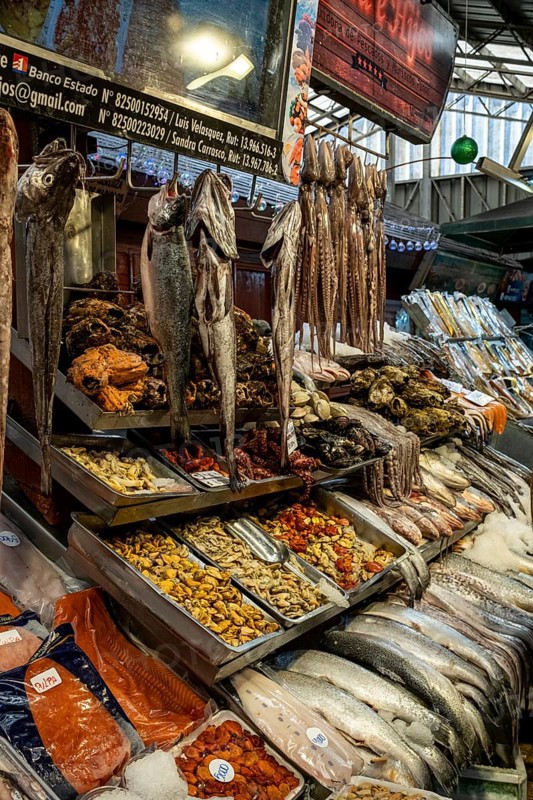 Angelmo Fish Market, Puerto Montt, Chile, South America