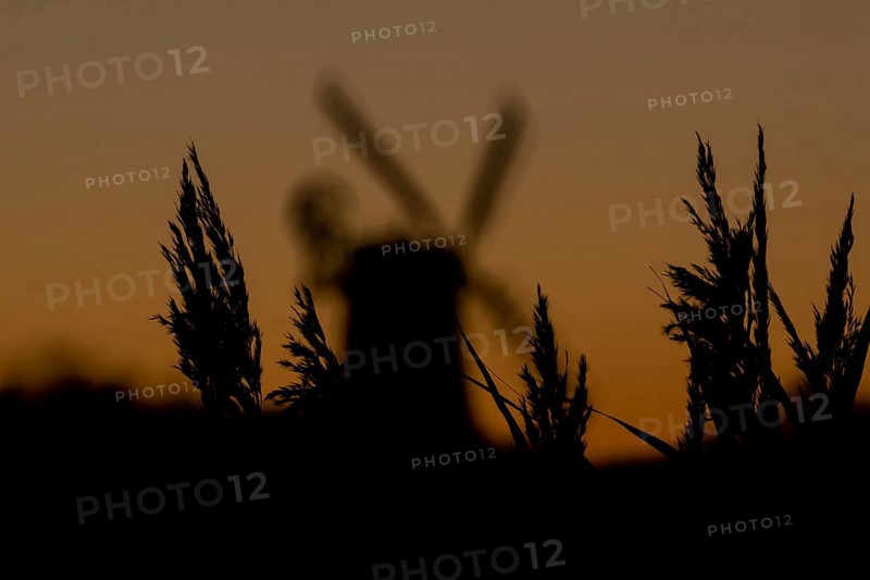 Windmill silhouette at sunset with a red sky and reeds in the foreground, Cley-next-to-the-sea, Norfolk, England, United Kingdom, Europe