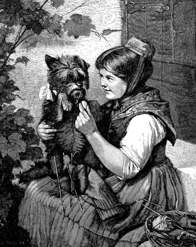Girl with knitting, playing with her little dog, Illustration from 1870, Historical, digital reproduction of an original 19th century artwork