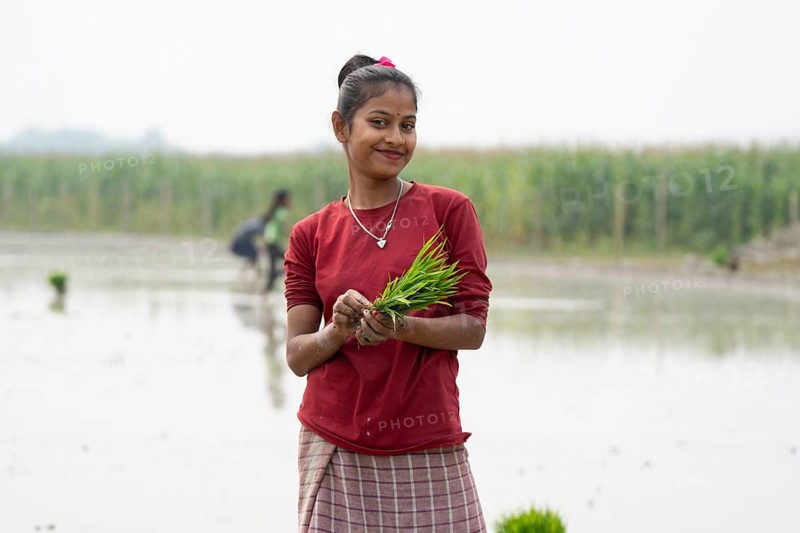 Morigaon, India. 20 February 2024. A women pose for photograph holding rice sapling, as she plant rice saplings in a paddy field on February 20, 2024 in Mayong, India. Rice cultivation contributes to food security in India by ensuring a stable supply of this essential food grain