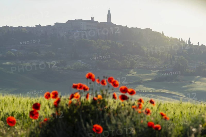 Landscape at sunrise around Pienza, Val d'Orcia, Orcia Valley, UNESCO World Heritage Site, Province of Siena, Tuscany, Italy, Europe