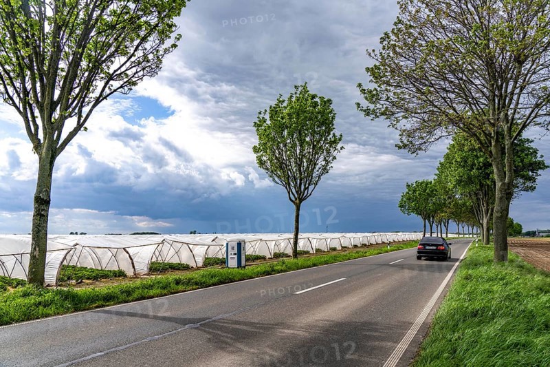 Agriculture, large areas with foil tunnel, for the cultivation of strawberries, south of Lövenich, belongs to Erkelenz, in the district of Heinsberg, mobile loo for field workers, North Rhine-Westphalia, Germany, Europe