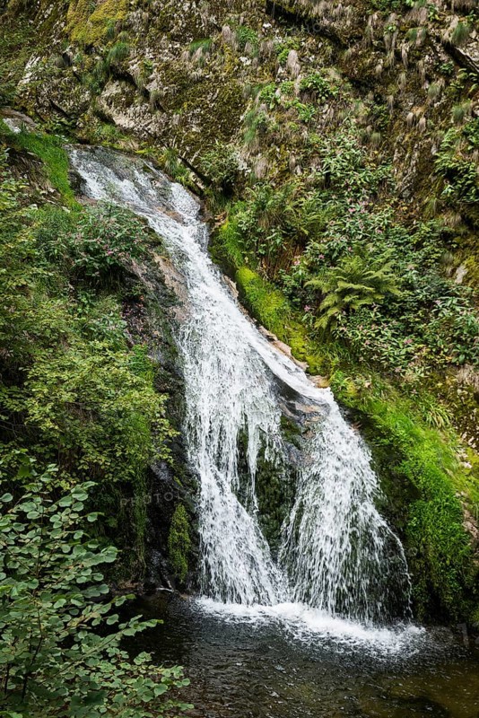 Allerheiligen Waterfalls, Ottenhöfen, Black Forest National Park, Ortenau, Black Forest, Baden-Württemberg, Germany, Europe