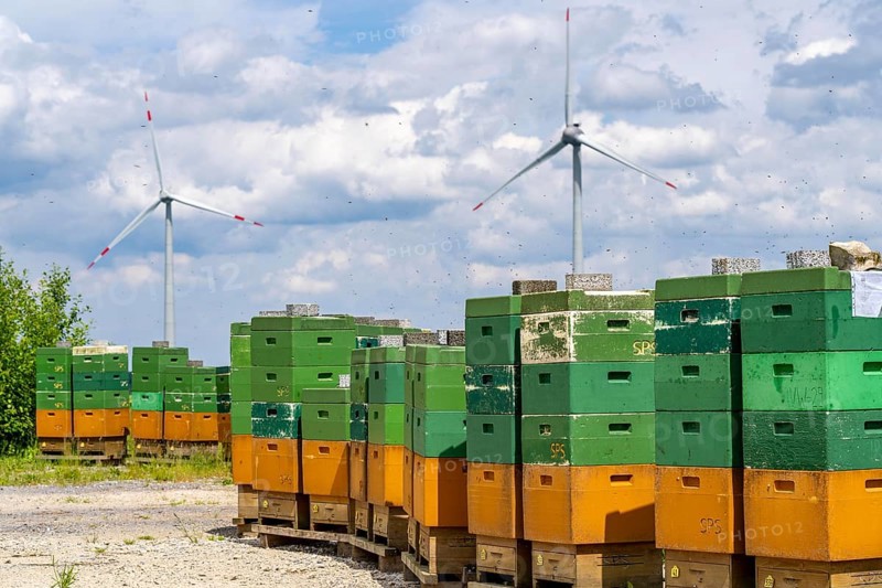 Wind farm north of Marsberg, many beehives at the foot of a wind turbine, Hochsauerlandkreis, North Rhine-Westphalia, Germany, Europe