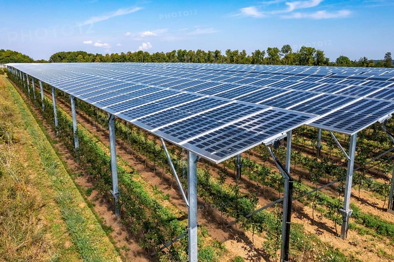 Agri-photovoltaic test plant, an apple orchard with two different systems of PV modules was roofed over 3000 square metres, rain and sunlight comes through, at the same time protection against hail and heavy rain, next to it are the same trees but without a solar roof, as a comparison object, how the PV roof affects the trees and harvest, the field test is accompanied by the Fraunhofer Institute for Solar Energy Systems ISE, in Grafschaft-Gelsdorf, Rhineland-Palatinate, Germany, Europe