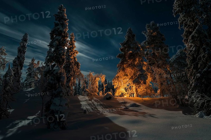Man in the evening at a bivouac with campfire, Lapland, Sweden, Scandinavia, Europe