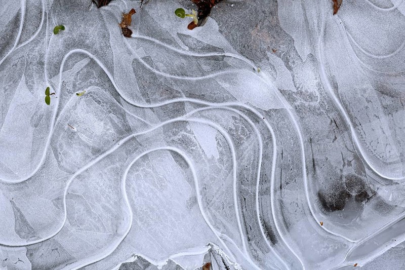 Winter flood 2024 on the rivers Elbe and Mulde with flooding of the meadows, close-up of ice structures on the meadows due to flooding in winter, bizarre ice formations, Middle Elbe Biosphere Reserve, Dessau-Roßlau, Saxony-Anhalt, Germany, Europe