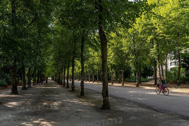 The Jägerhofallee in the Hofgarten, the central municipal park in Düsseldorf, North Rhine-Westphalia, Germany, Europe