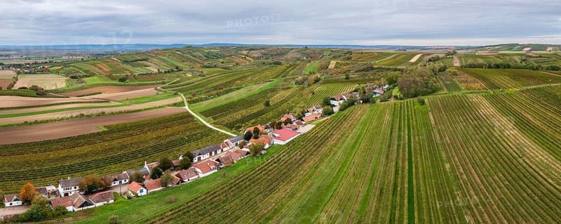 Aerial view, autumn landscape with vineyards, cellar lane, Alberndorf, Pulkautal, Weinviertel, Lower Austria, Austria, Europe