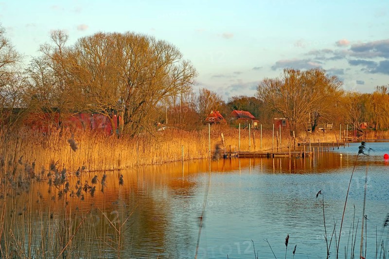 A river with reeds on the banks, surrounded by trees and calm water areas, Lake Gartow, Gartow, Wendland, Lower Saxony, Germany, Europe