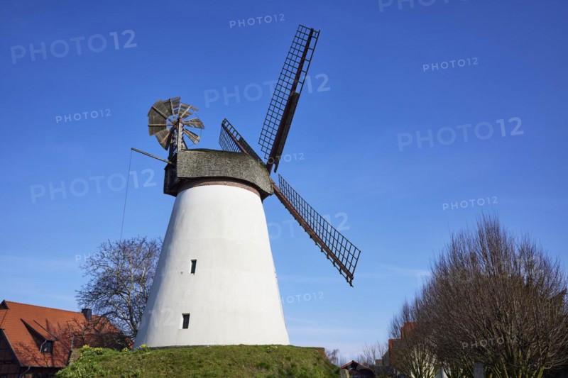 Windmill Hummelbecker Mühle against a cloudless blue sky, a Wall-Holländer, is part of the Westphalian Mill Road in Dützen, Minden, Mühlenkreis Minden-Lübbecke, North Rhine-Westphalia, Germany, Europe